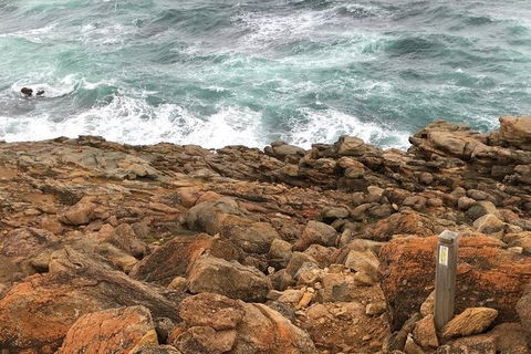 Guided Walks On The Cape To Cape - Moses Rock To Ellenbrook - Perths Hotel 1