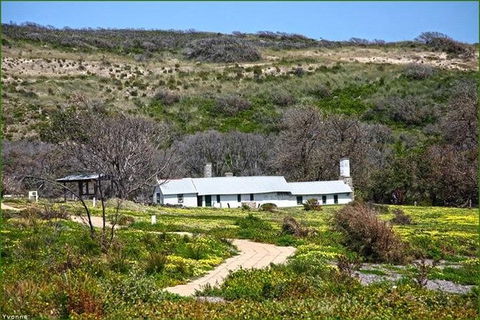 Guided Walks On The Cape To Cape - Moses Rock To Ellenbrook - Perths Hotel 2