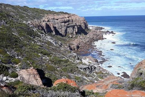 Explore Margaret Rivers\' National Parks On A Guided Cape To Cape Track Walk - Perths Hotel 7
