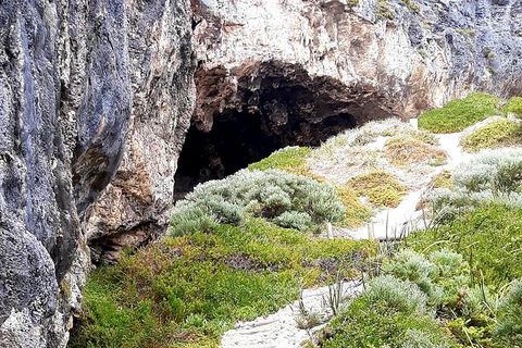 Explore Margaret Rivers\' National Parks On A Guided Cape To Cape Track Walk - Perths Hotel 8