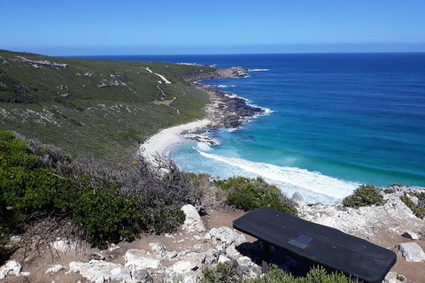 Explore Margaret Rivers\' National Parks On A Guided Cape To Cape Track Walk - Perths Hotel 4