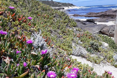 Explore Margaret Rivers\' National Parks On A Guided Cape To Cape Track Walk - Perths Hotel 2