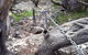 Explore Margaret Rivers\' National Parks On A Guided Cape To Cape Track Walk - thumb 1