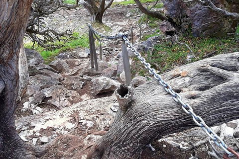 Explore Margaret Rivers\' National Parks On A Guided Cape To Cape Track Walk - Perths Hotel 1