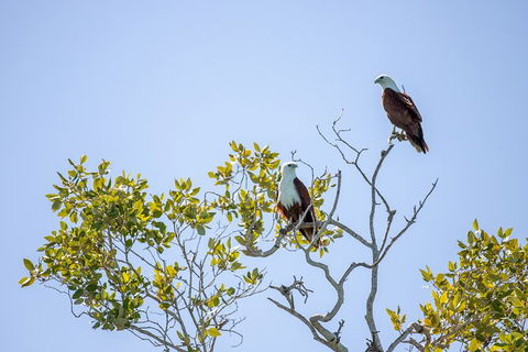 Scenic And Prehistoric Boat Tour - Perths Hotel 6