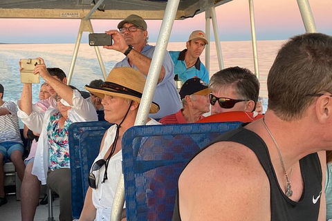 Scenic And Prehistoric Boat Tour - Perths Hotel 20