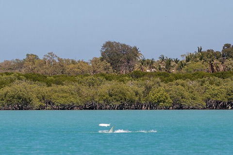 Scenic And Prehistoric Boat Tour - Perths Hotel 3