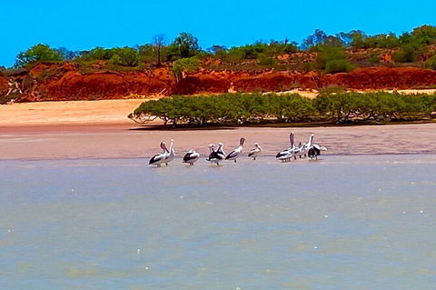 Scenic And Prehistoric Boat Tour - Perths Hotel 26