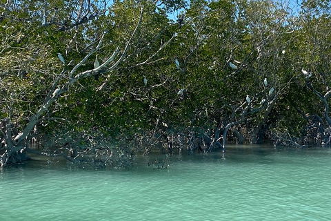 Scenic And Prehistoric Boat Tour - Perths Hotel 7