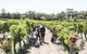 Voyager Estate: Voyager Unearthed & Cheeseboard - thumb 1