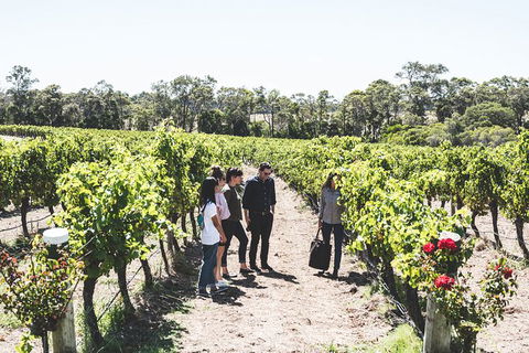 Voyager Estate: Voyager Unearthed & Cheeseboard - Perths Hotel 1