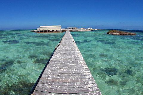 Abrolhos Islands 5 Day Tours - Perths Hotel 4