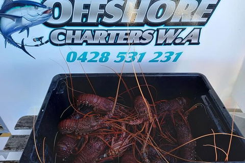 Lobster Fishing Tour At Geraldton - Perths Hotel 0
