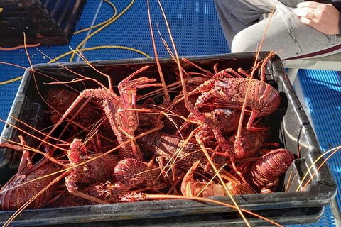Lobster Fishing Tour At Geraldton - Perths Hotel 6