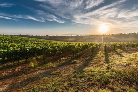 Perth To Margaret River Wine Tour - 2 Day Premium Boutique Wine Tour Experience - Perths Hotel 0