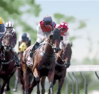 Colac Turf Club - Perths Hotel