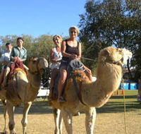 Calamunnda Camel Farm - Perths Hotel