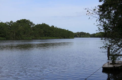 Daintree River Cruise Centre - Perths Hotel 2