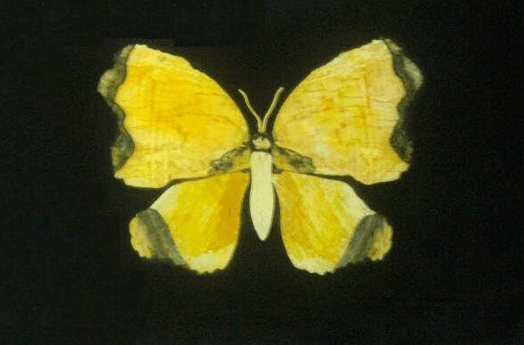 Ashworths - Perths Hotel 0