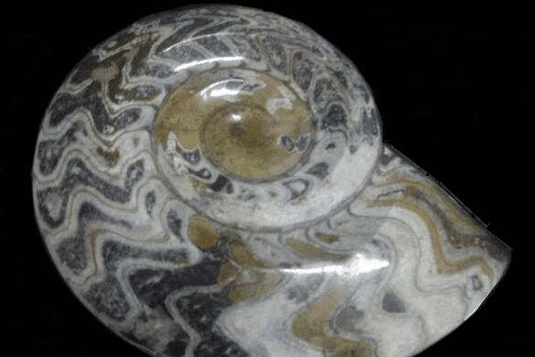 Ashworths - Perths Hotel 2