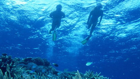 Air Whitsunday Day Tours - Perths Hotel 1