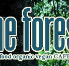 Forest Cafe  Bar - Perths Hotel