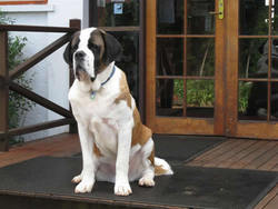 Mt Tamborine QLD Perths Hotel