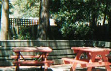 The Hawthorn Hotel - Perths Hotel 2