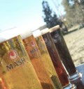 Mash Brewery - Bunbury - Perths Hotel 2