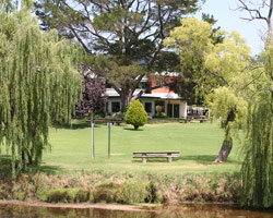 Bendemeer Hotel - Perths Hotel 3