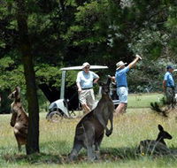 Glen Innes Golf Club - Perths Hotel