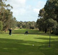 Mount Gambier Golf Club - Perths Hotel