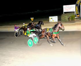 Bathurst Harness Racing Club - Perths Hotel 0