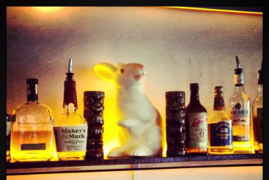 Hairy Canary - Perths Hotel 0
