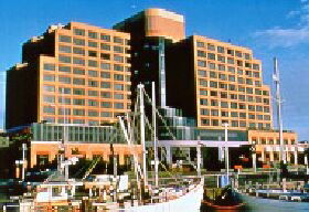 Glebe TAS Perths Hotel