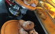 Harvest Breads Cafe - thumb 2
