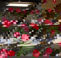 Anglican Spring Flower Show Gundagai - Perths Hotel