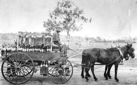 A Tale Of Two Villages - An Exhibition - Perths Hotel 1