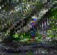 Elephant Trail Race - Perths Hotel