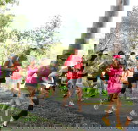 Gladstone Weekly Parkrun - Perths Hotel