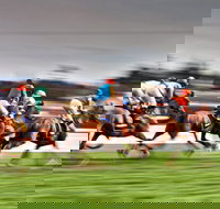 Grafton July Racing Carnival - Perths Hotel