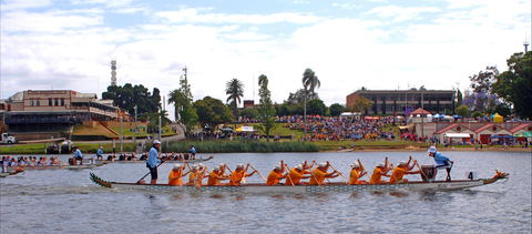 Jacaranda Dragon Boat Races - Perths Hotel 0