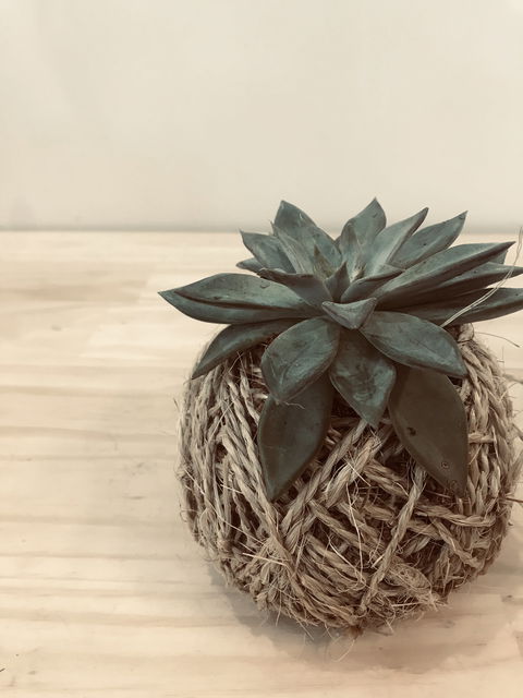 Kokedama Workshop - Perths Hotel 0