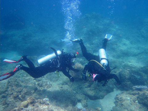 Recovery Of The Great Barrier Reef Expedition - Perths Hotel 1