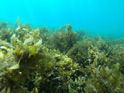 Recovery Of The Great Barrier Reef Expedition - Perths Hotel 2