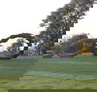 SculptureShaw - Perths Hotel