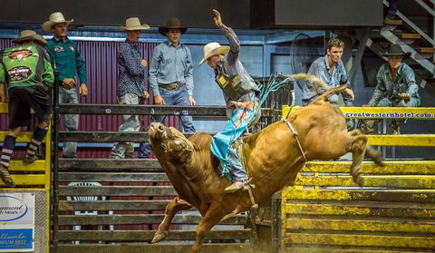 Top Gun And Young Gun Series Round 7 - Perths Hotel 0