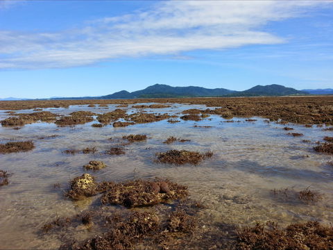 Walk To The Reef - Perths Hotel 0