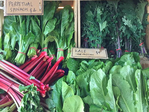 Albury Wodonga Farmers Market - Perths Hotel 0