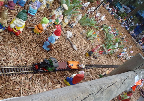 Australia Day With The Australian Gnome Convention Glenbrook - Perths Hotel 2